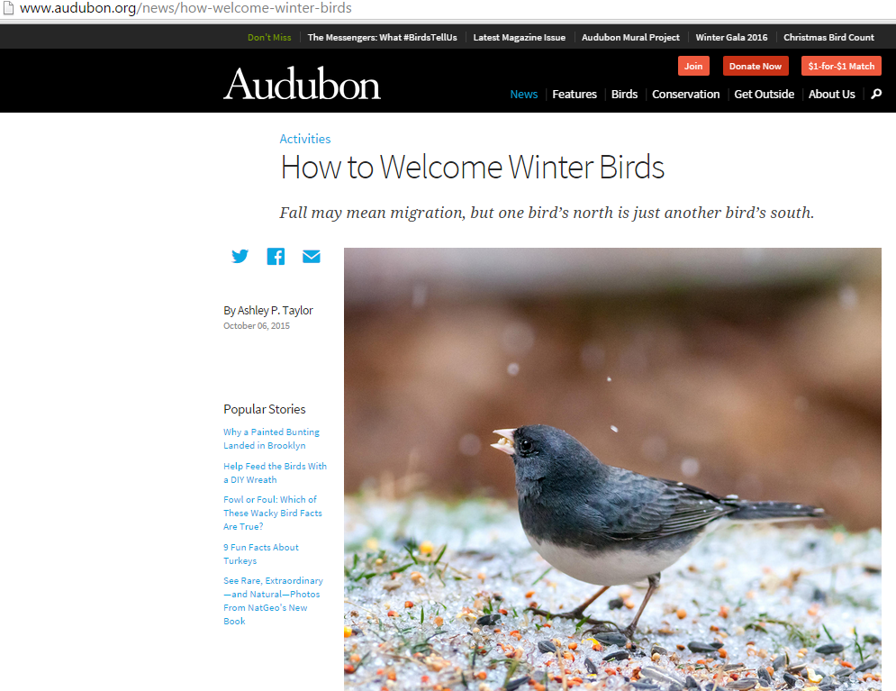 Learning Tools: Helping Winter Birds!
