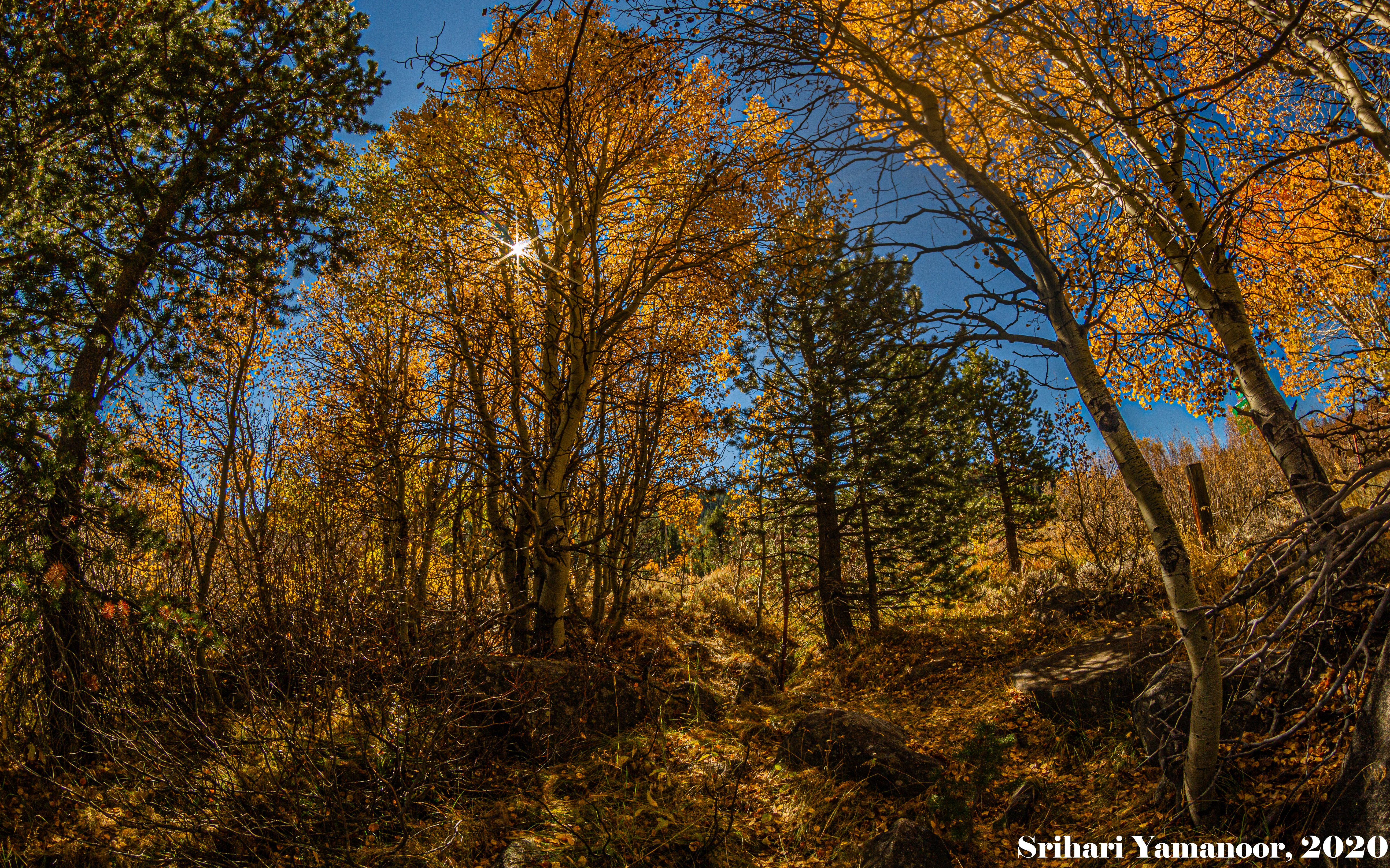 National Public Lands Day (US) is here for a 30th go around…along with the first day of Fall 2023!