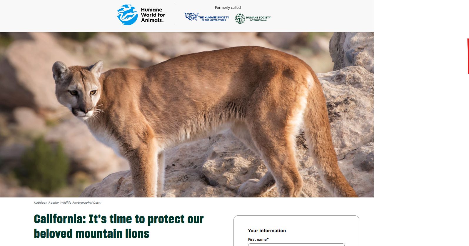 Important Petition! Mountain Lion Conservation in California